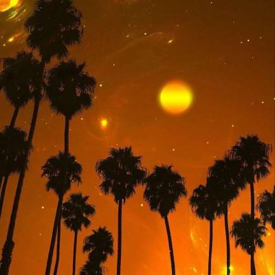 爱体育官方下载手机版截图